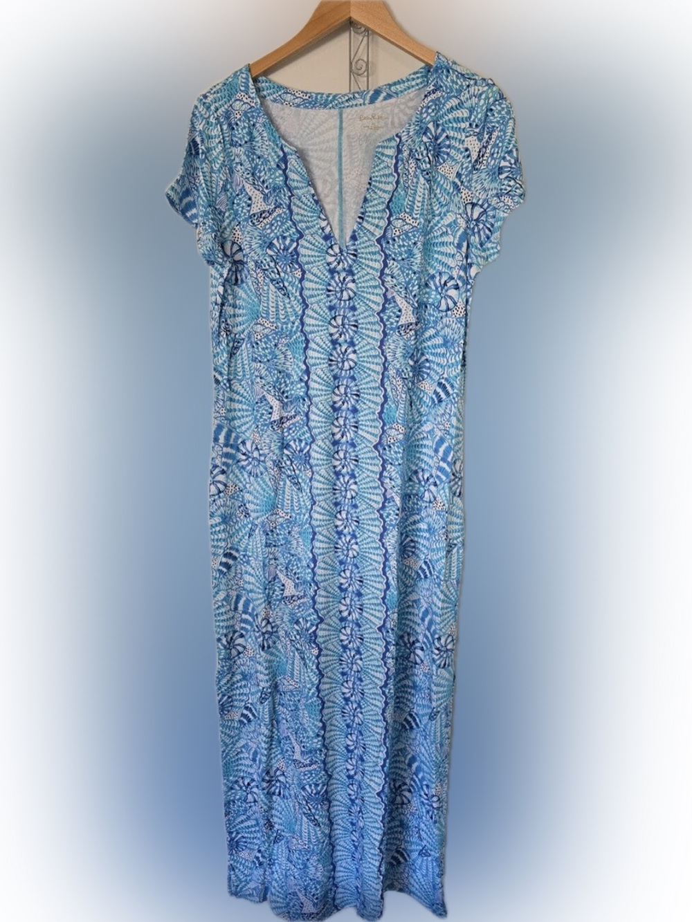 Lilly Pulitzer Blue and White Printed Maxi Dress
